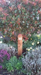 Founding chair of The Beeches residents association remembered with plaque in flower bed.