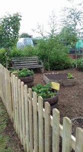 Uppingham community garden at Leicester road allotments