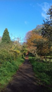 Uppingham School arboretum